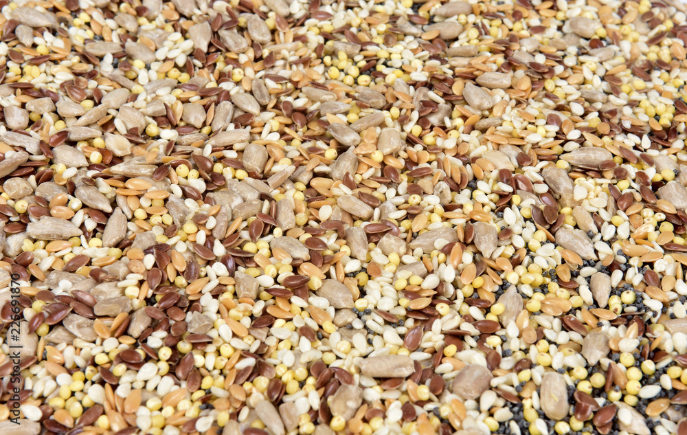 close up of a texture multigrain close up of a texture multigrain