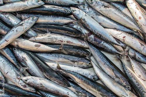 Foto Frozen Sea fish on public market in Greece
