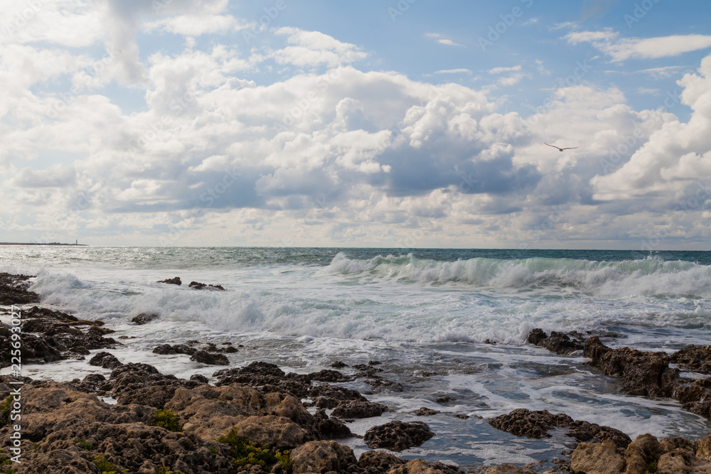 Stone Beach sea coast storm and bird Stone Beach sea coast storm and bird
