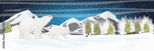 White bear walks through the snow. Mother and child. Mountains, spruce coniferous forest and snow-covered plains. Starry night in the North. Landscapes of the Arctic.