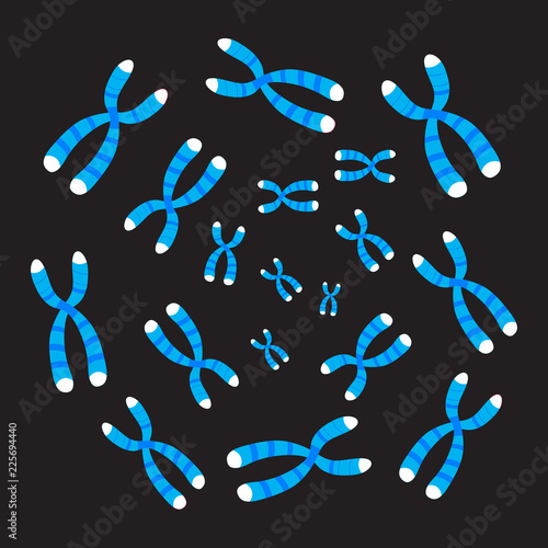 Chromosomes  on Black Background photo