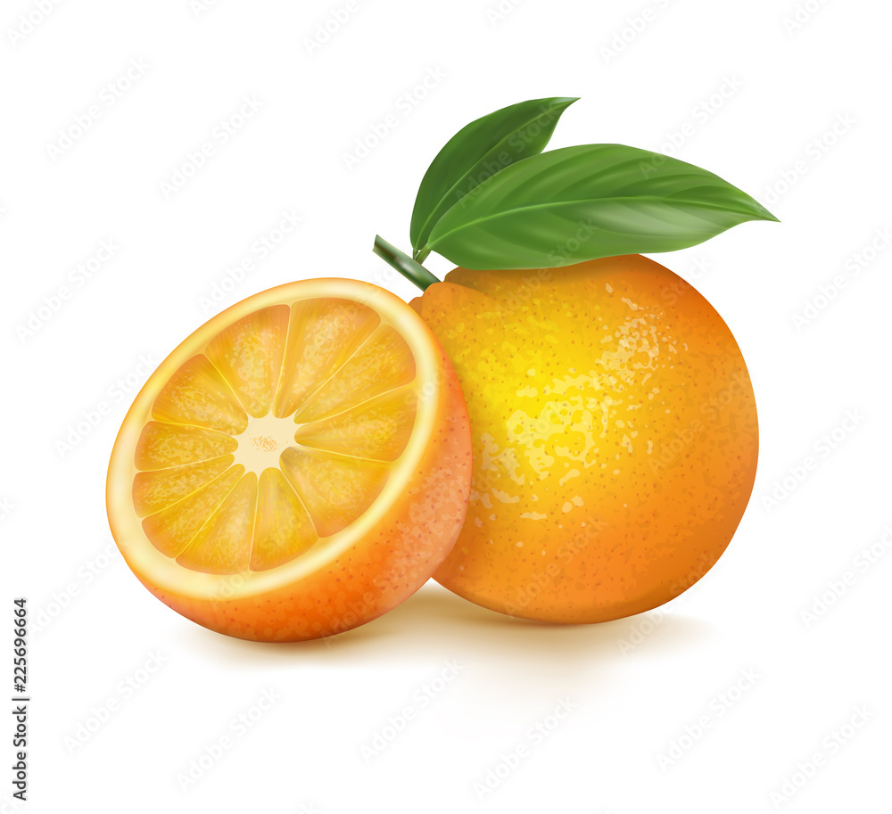Orange whole and slices of oranges. Vector illustration. Orange whole and slices of oranges. Vector illustration.