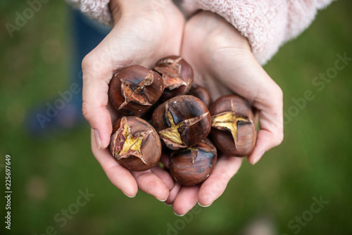 Handful of delicious roasted chestnuts photo