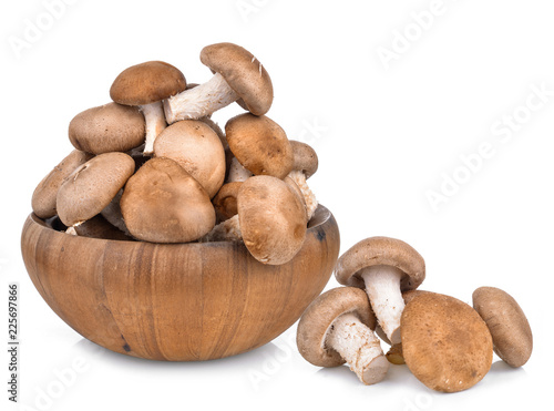 Shitake Mushrooms on white background