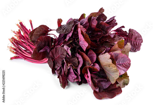  Red Spinach isolated on white