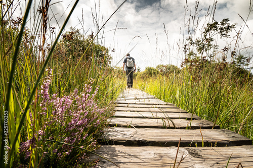 Bilde på lerret Wanderung im Hochmoor Hohes Venn