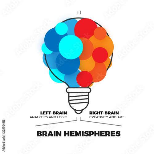 Brain hemispheres vector