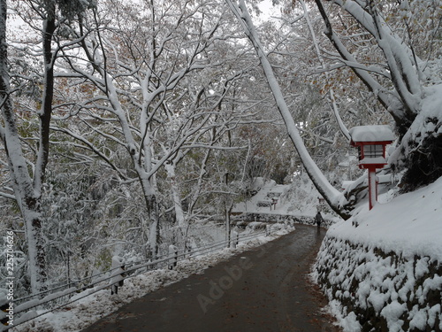 雪の高尾山