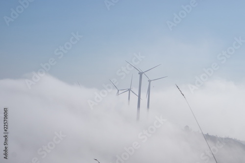 Wallpaper Mural SAMSUNG CAMERA PICTURES Torontodigital.ca