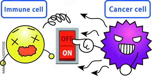 2_Explanation of the effect of Opdivo 2