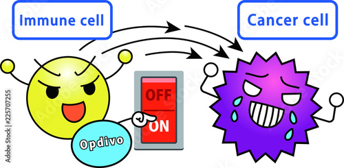 1_Explanation of the effect of Opdivo 1