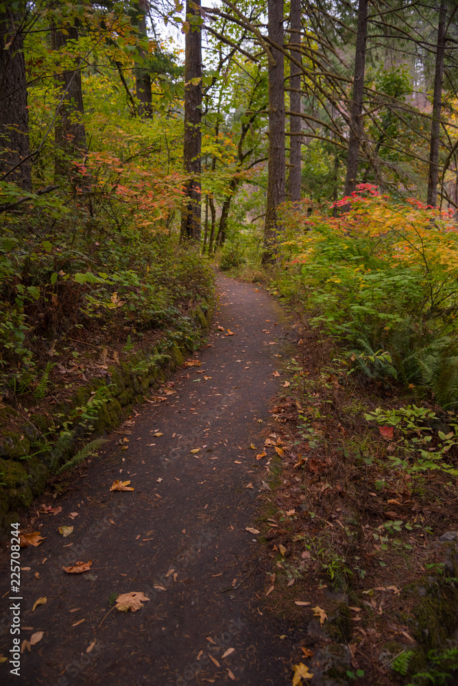 Naklejka premium Oregon hiking trail in Autumn