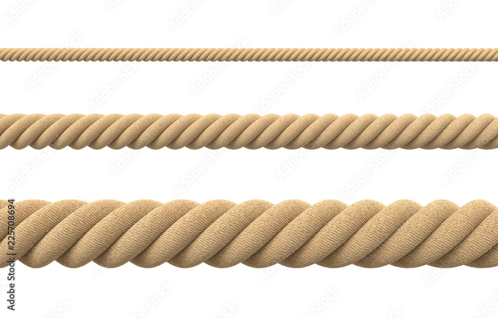 3d rendering of tree strings of rope of different thickness in