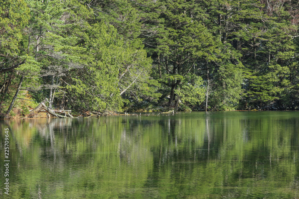 Natural green leaves tree forest with reflection on Myojin pond at Japanese alps Kamikochi Nagano. Natural green leaves tree forest with reflection on Myojin pond at Japanese alps Kamikochi Nagano.