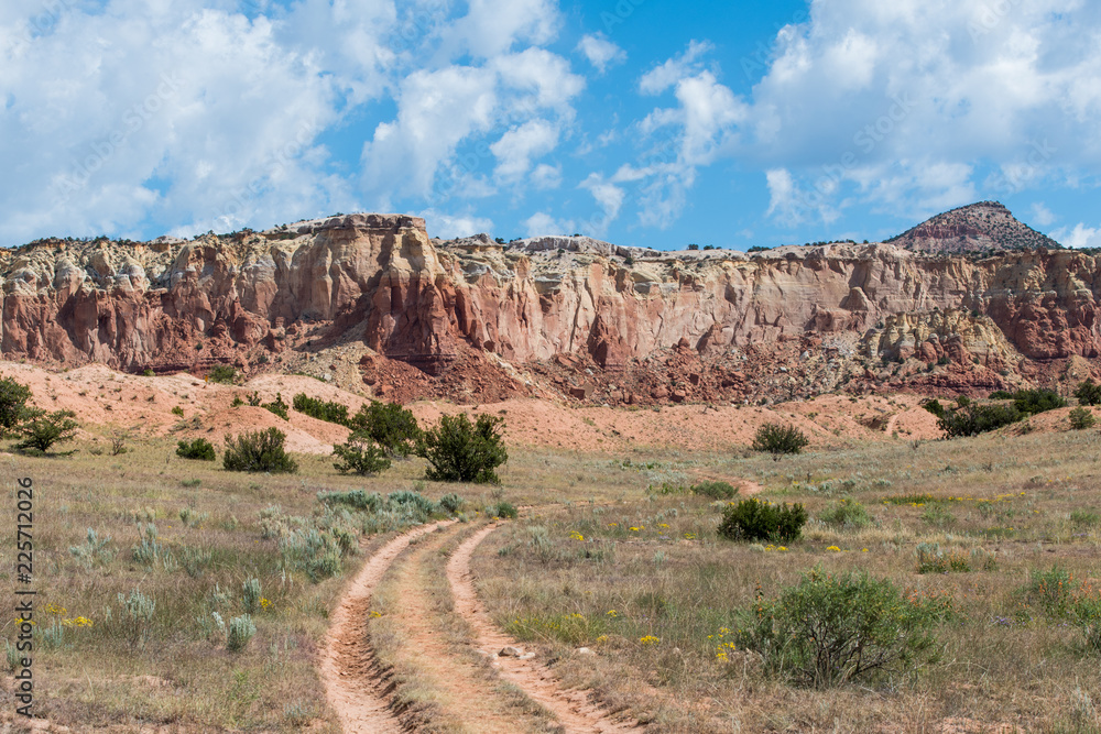 Dirt road with two tracks curving into the distance through a grassy meadow to high red rock cliffs near Abiquiu, New Mexico in the American Southwest