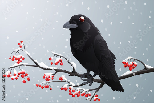 Black raven perched on branch with red berries. Winter season with falling snow. Vector illustration isolated on grey background.