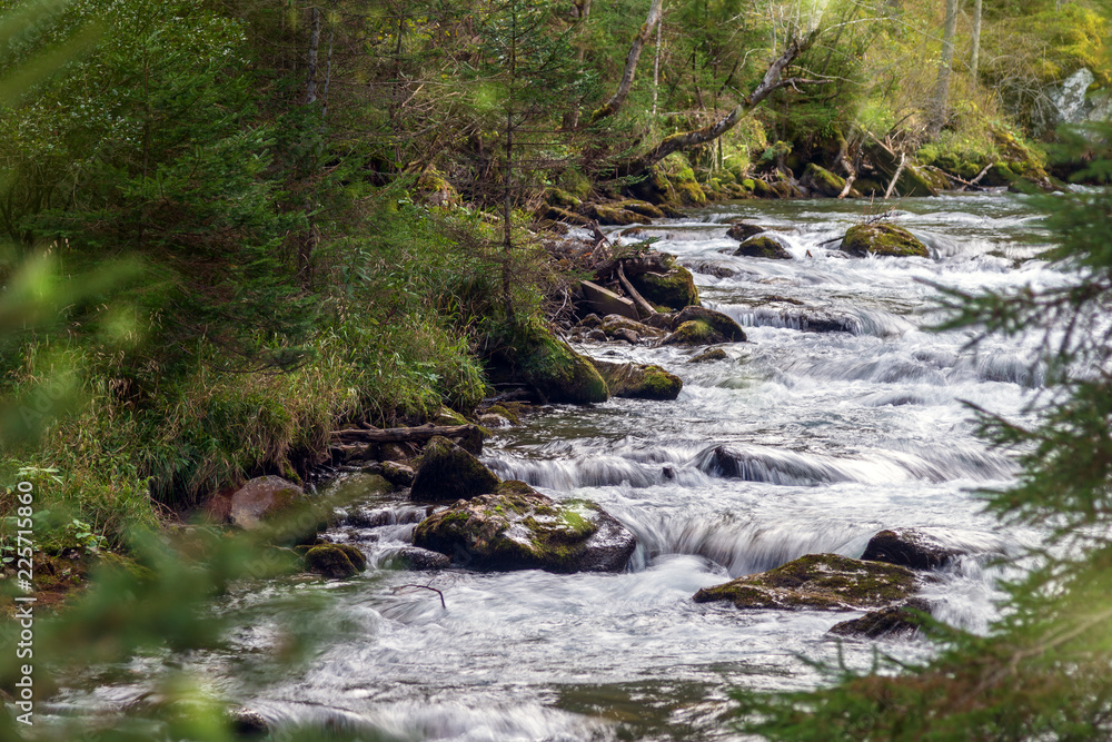 Blurry river in the woods Blurry river in the woods