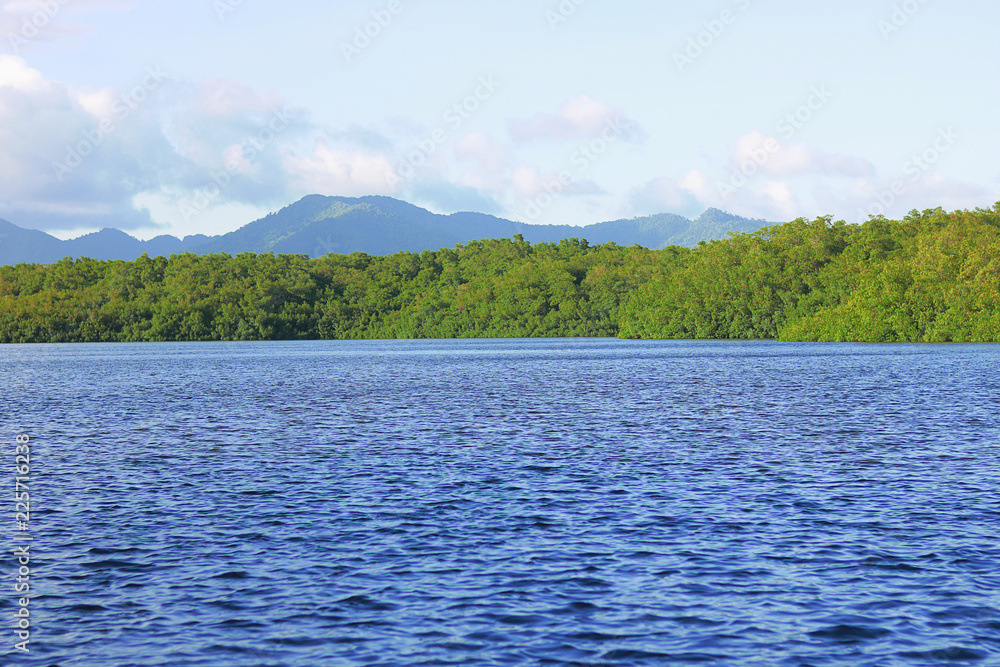 Vibrant landscape | Lake and Greenery - Mountain backdrop with type space Vibrant landscape | Lake and Greenery - Mountain backdrop with type space