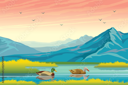 Ducks, lake, mountains and autumn landscape.