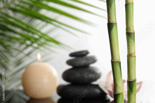 Bamboo branches against blurred background. Space for text