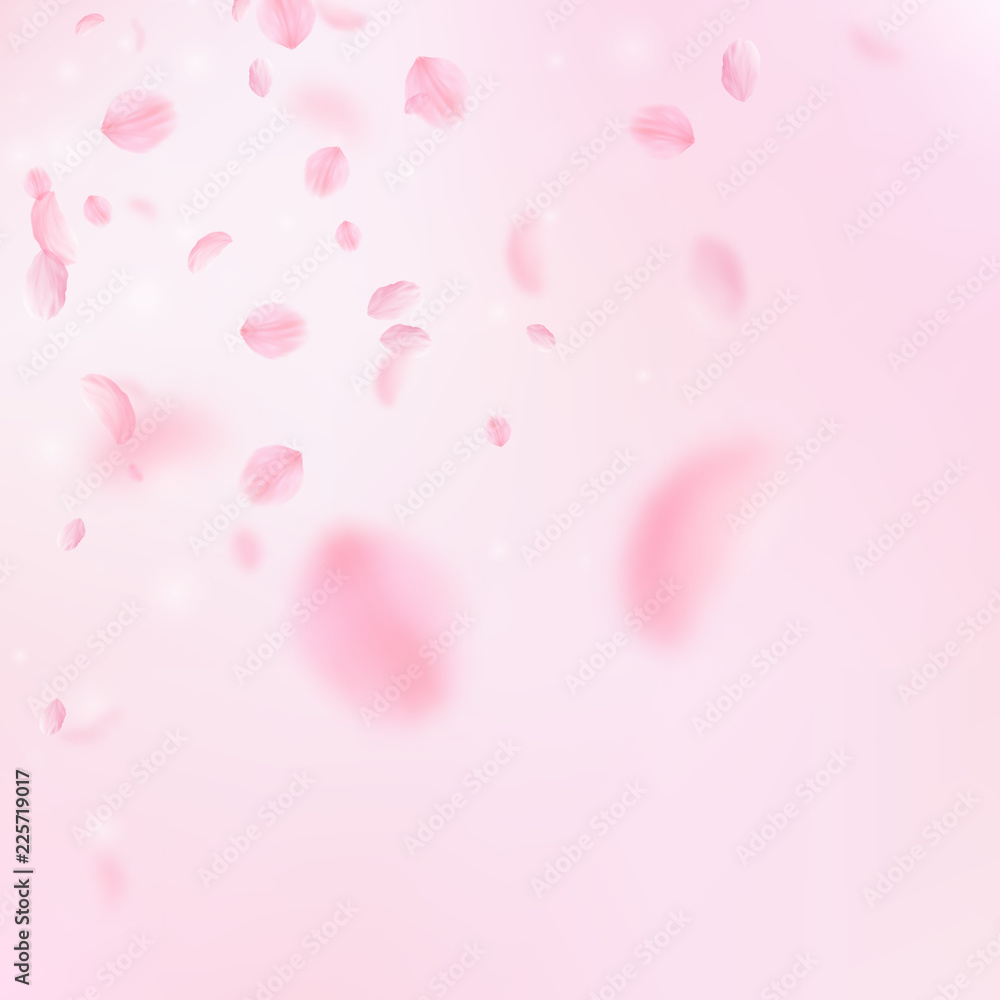 6736992 Sakura petals falling down. Romantic pink flowers corner. Flying petals on pink square background. L
