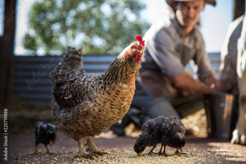 Farmer with chickens