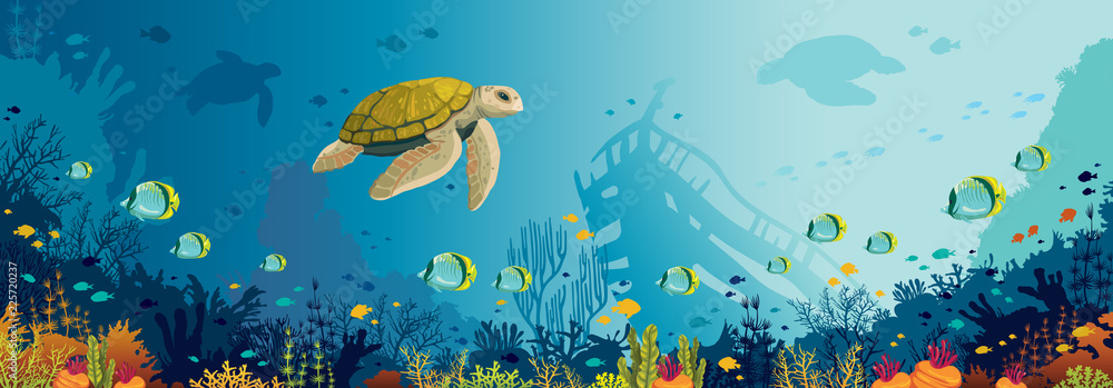 Obraz premium Podwodna przyroda - żółw, rafa koralowa, ryby, zatopiony statek, morze.