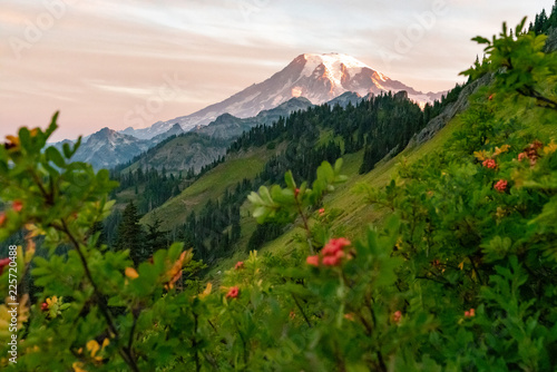 Mt. Rainier at Sunrise, Washington.