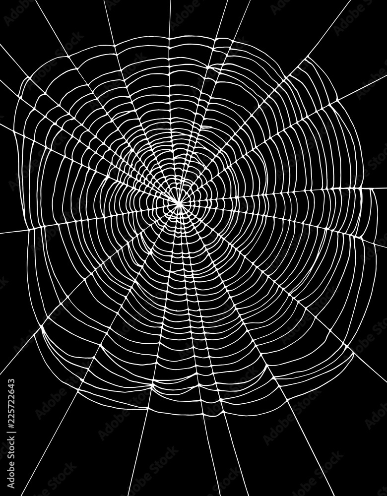 Naklejka premium Simple White Spider Web Vector Illustration. Black Background. Lovely Halloween Layout.