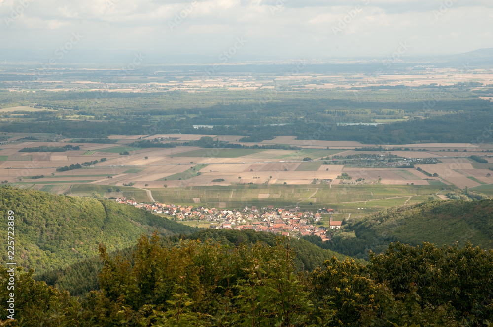 Vineyards by Alsace villages