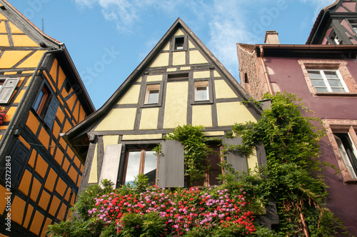 Half timbered houses in Alsace