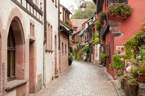Fototapeta Naklejka Na Ścianę i Meble -  Vineyards by Alsace villages