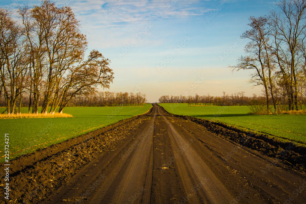 Fototapeta premium Autumn