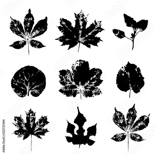 Leaves imprints set isolated on white background vector