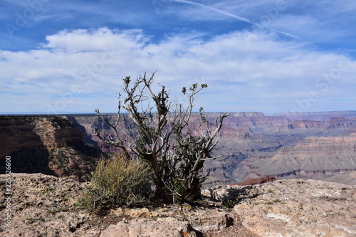 Grand Canyon Landscape