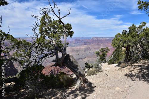 Grand Canyon Landscape