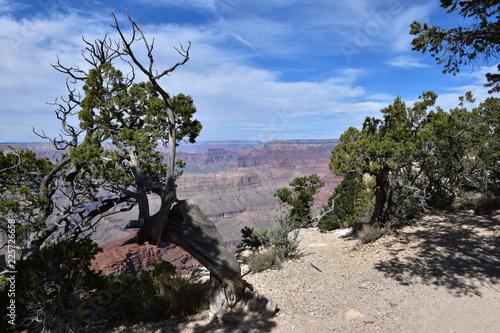 Grand Canyon Landscape