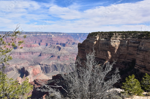 Grand Canyon Nature