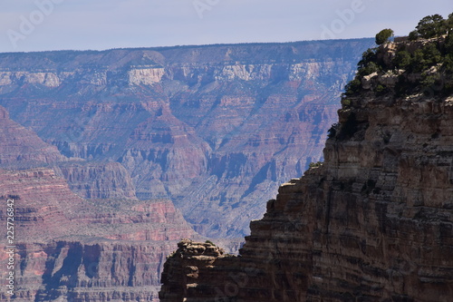 Grand Canyon Nature