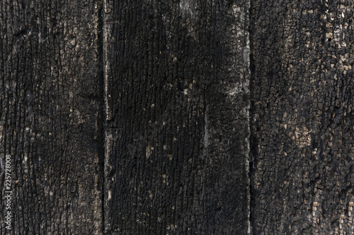 old wood texture background 