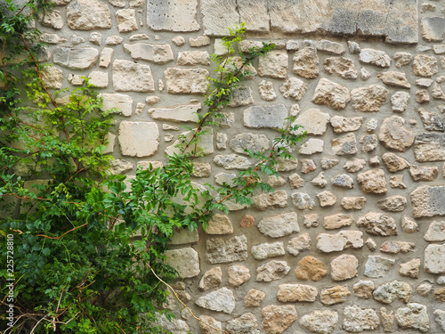 Fotografie Mur de Provence