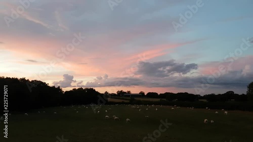Footage of rural Welsh fields at sunset with sheep in the field.
