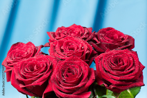 Bouquet of red roses with drops of dew on a blue background