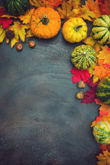 Autumn background with colorful leaves and pumpkins