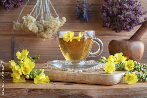 A cup of mullein tea with fresh mullein flowers
