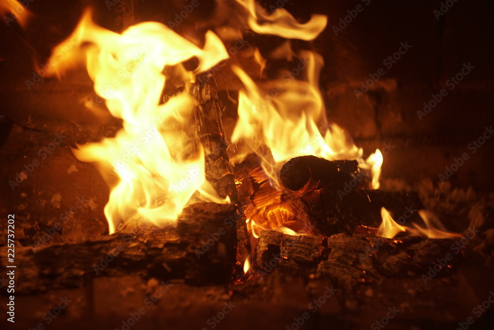 Burning firewood in the fireplace close up