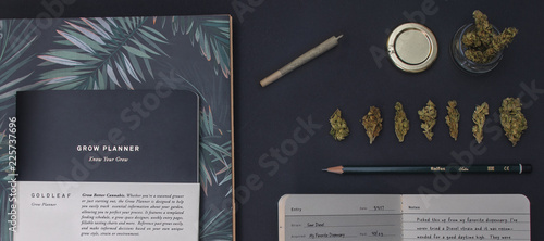 Obraz na plátně Top view of stationery and cannabis with a joint and jar flat lay