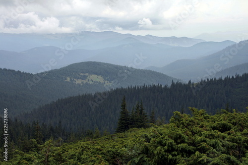 fog curve hills of Carpathian mountains