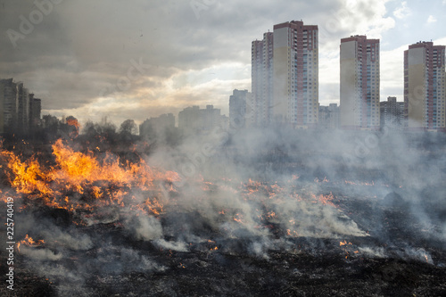 Fotografie Fire in the field near the city