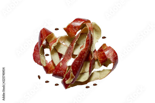 Obraz na plátne Apple peels and seeds on white surface